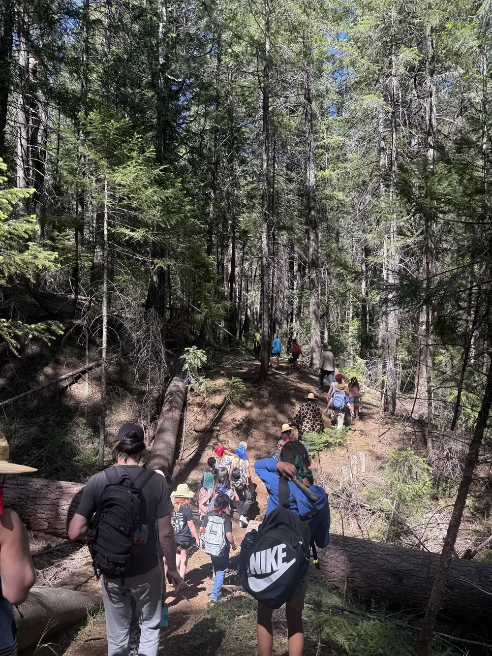 Hike in